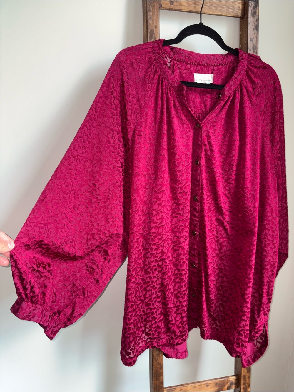 Anthropologie Susanna Burnout Velvet Oversized 3X Buttondown Semi Sheer Blouse - Picture 5 of 16